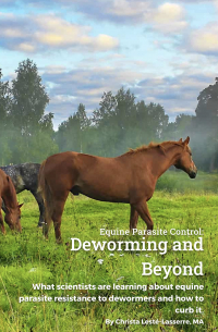 Deworming and Beyond