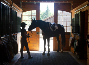 Deworming Stalled and Dry Lot Horses